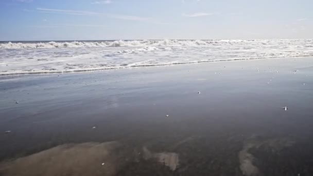 Czarny kanarkowy piasek tło plaży. Wybrzeże wulkaniczne jest myte przez fale oceanu. Niesamowita scena natury na wyspie Bali plaga z wulkanem. — Wideo stockowe