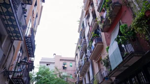 Oude appartementengebouwen met groene balkons in het oude deel van Barcelona - Gotische wijk. Populaire reisbestemming. Subjectieve steadicam schot van wandelende persoon. — Stockvideo