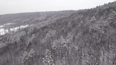 Dağ kış ormanının üstündeki hava aracı görüntüsü. Karla kaplı ağaçlar. Fevkalade bir sabah, sakinlik, rahatlama, yeryüzünün güzelliği, doğa konsepti.