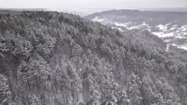 Drone tiro aéreo de voar sobre copas de árvores de inverno com neve. Floresta incrível. Voo acima da madeira da montanha, paisagem da natureza, fundo de textura. — Vídeo de Stock