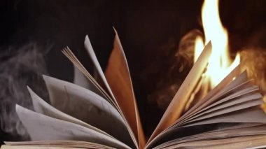 Eski açık kitap yanıyor. Kağıtlarda büyük parlak bir alev. Şöminede günlüğün tahrip edilmesi. Geçmişten feragat. Şenlik ateşi üzerine yasak edebiyat. Sansür, özgürlük bilgisinin yasaklanması