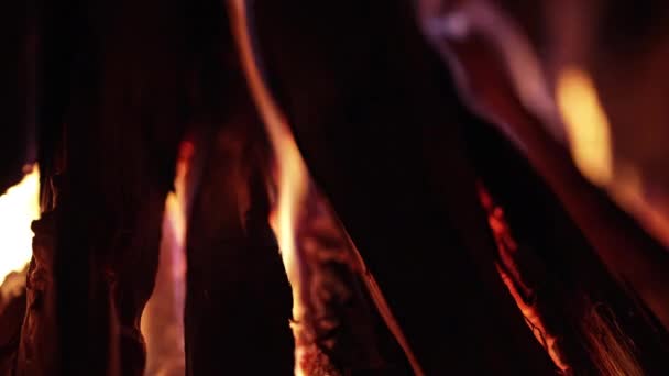 Api unggun yang menawan. Banyak percikan api dan lidah api dari kayu yang terbakar. Rekaman yang indah. Api unggun, perapian, latar belakang energi api. — Stok Video
