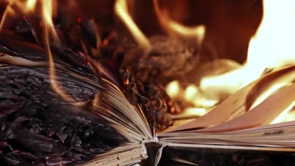 El viejo libro abierto está ardiendo. Una gran llama brillante en los papeles. Destrucción del diario en la chimenea. Renuncia al pasado. Literatura prohibida en hoguera. Censura, prohibición de información sobre la libertad — Vídeo de stock