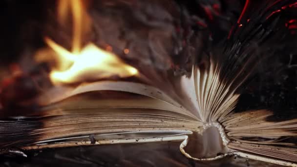 Old open book is burning. Big bright flame on papers. Destruction of diary in fireplace. Renunciation of past. Forbidden literature on bonfire. Censorship, prohibition of freedom information — Stock Video