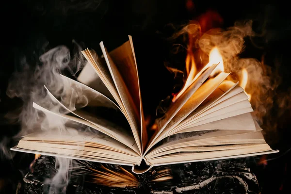 Altes aufgeschlagenes Buch brennt. Große helle Flamme auf Papier. Zerstörung des Tagebuchs im Kamin. Abkehr von der Vergangenheit. Verbotene Literatur am Lagerfeuer. Zensur, Informationsverbot — Stockfoto