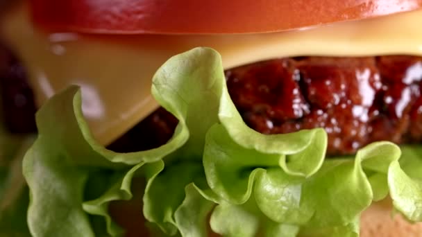 Close-up van veggie burger met gekruid vlees cutlet. Sojabonen nep-patty, glutenvrij, niet-vlees vegetarisch en veganistisch voedselconcept. — Stockvideo