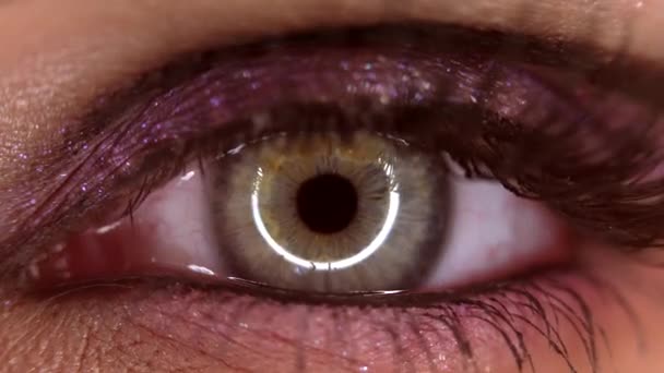 Makro pohled na ženské oko s třpytivým lesklým make-upem. Dlouhé falešné řasy. Dámo, zelená rohovka s kulatým odrazem. Módní model, ženská krása a jedinečnost — Stock video