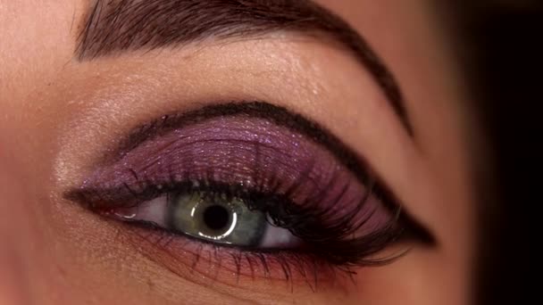 Human eye with fancy arrow make-up. Glitter shadows and false lashes. Woman watching you, green cornea with round reflection. Fashion model, female beauty and uniqueness — Stock Video