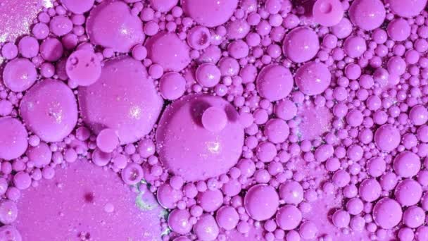 Bovenaanzicht van abstracte roze bellen lost op in verf. Inkten, bollen, olie. Kleurrijke vormen. Gedetailleerde achtergrond, mooi design, ballonnen textuur. — Stockvideo