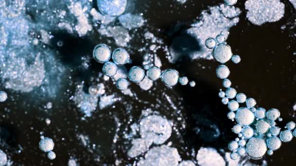 Resumen de burbujas de escarcha estalla y se disuelve en pintura negra. Forma de esfera azul. Fondo detallado, hermoso diseño, textura de globos de hielo. — Vídeos de Stock