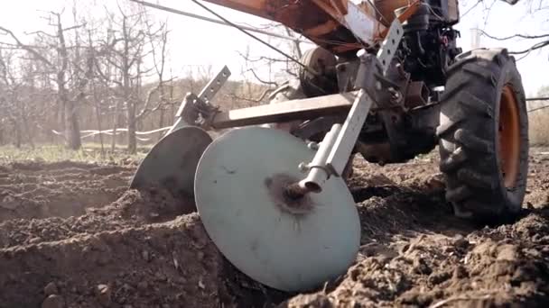 Farmer man works, ploughing in garden chernozem field with motorized unit motoblock - type of small-sized tractor, used in household. Cultivation of land, planting potatoes, plowing soil. Agriculture. — 비디오