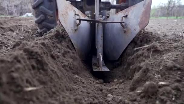 Camas de escavação ranhuras para plantar batatas pelo agricultor. Arado de homem no campo de chernozem com motobloco de unidade motorizada com rodas envolventes no solo - tipo de trator de pequeno porte, usado no lar. — Vídeo de Stock