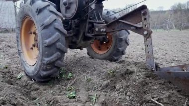 Çiftçilerin patates ekmek için oklar kazıyorlar. Çernozem tarlasında tarla süren bir adam motorlu birim motoblock ile zemin bağlantılı tekerleklerle - küçük ölçekli bir traktör, evlerde kullanılır..