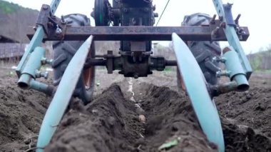 Çiftçi çalışıyor, motorlu birim motoblock ile tarlayı sürüyor. Patates ekmek, bir sonraki iç kısımlardan toprak doldurmak. Sırt oluşturuyorum. Tarım, toprak sürme. Tarım.