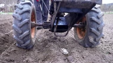 Çiftçilerin patates ekmek için oklar kazıyorlar. Çernozem tarlasında tarla süren bir adam motorlu birim motoblock ile zemin bağlantılı tekerleklerle - küçük ölçekli bir traktör, evlerde kullanılır..