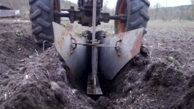 Çiftçilerin patates ekmek için oklar kazıyorlar. Çernozem tarlasında tarla süren bir adam motorlu birim motoblock ile zemin bağlantılı tekerleklerle - küçük ölçekli bir traktör, evlerde kullanılır..