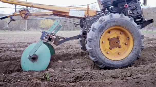 Agricultor trabalhando, arando no campo com motobloco unidade motorizada. Plantando batatas, enchendo-se do solo de entrelinhas seguintes. A formar cume. Cultivo, solo arado. Agricultura. — Vídeo de Stock