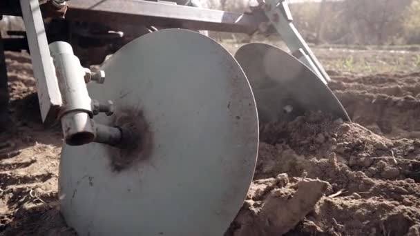 Farmer man works, ploughing in garden chernozem field with motorized unit motoblock - type of small-sized tractor, used in household. Cultivation of land, planting potatoes, plowing soil. Agriculture. — Stock Video