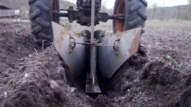 Çiftçilerin patates ekmek için oklar kazıyorlar. Çernozem tarlasında tarla süren bir adam motorlu birim motoblock ile zemin bağlantılı tekerleklerle - küçük ölçekli bir traktör, evlerde kullanılır.. — Stok video