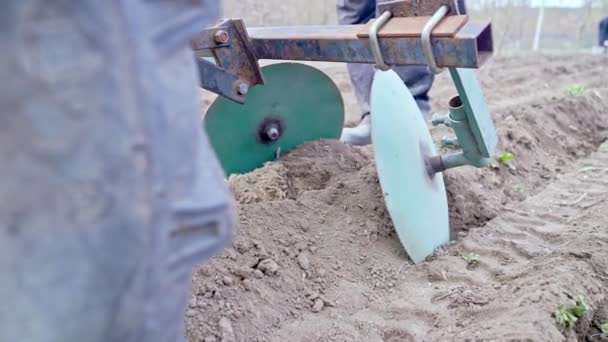 Farmer working, ploughing in field with motorized unit motoblock. Planting potatoes, filling up with soil from next interrows. Forming ridge. Cultivation, plowing soil. Agriculture. — Stock Video