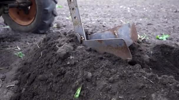 Kopání drážek pro výsev brambor zemědělcem. Mužská orba v černozemském poli s motoblockem motorové jednotky s pozemními koly - typ malosériového traktoru, používaný v domácnosti. — Stock video