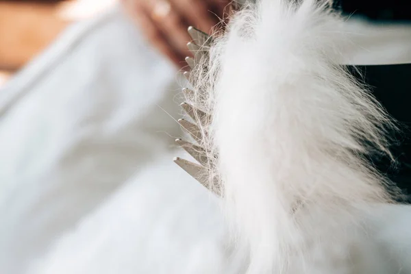 Gros plan toilettage du chat moelleux blanc dans le salon de beauté pour animaux de compagnie. Coupe de cheveux avec machine à raser électrique. Rasage animal domestique. — Photo