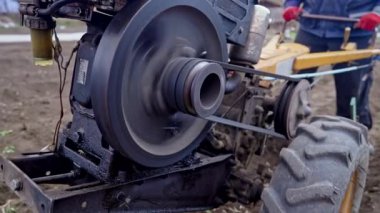 Makarayı kemerle döndürme işlemi. Adam bahçede motorlu birim motoblock ile çalışıyor. Küçük ölçekli bir traktör.. 