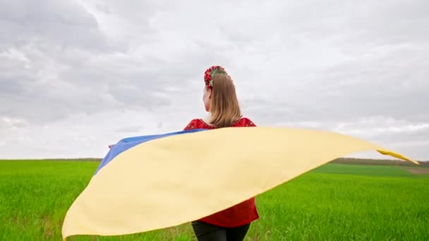 Boldog ukrán nő sétál nemzeti zászlóval a zöld mezőn. Vyshyvanka vörös hímzéses hölgy és virágkoszorú. Ukrajna szabadság, hazafi szimbólum, győzelem a háborúban. — Stock videók