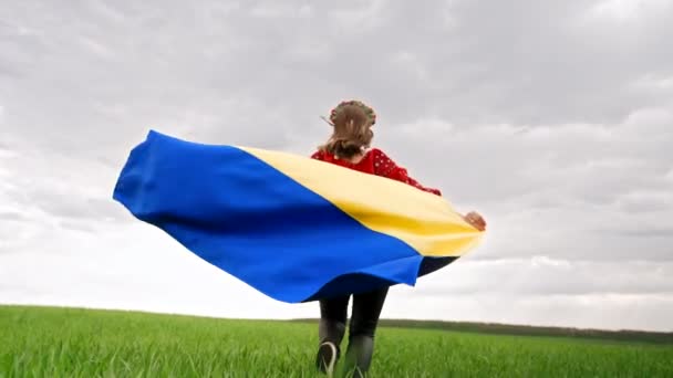 Boldog ukrán nő fut nemzeti zászlóval a zöld mezőn. Vyshyvanka vörös hímzéses hölgy és virágkoszorú. Ukrajna szabadság, hazafi szimbólum, győzelem a háborúban. — Stock videók