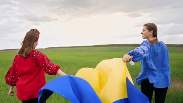 Happy ukrainian women with national flag walking in green field. Portrait of young friends in blue and red embroidery vyshyvanka- national blouse. Ukraine, friendship, patriot symbol, victory in war. — Wideo stockowe