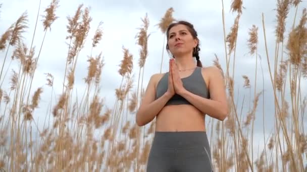 Pretty sporty woman doing namaste yoga mudra on reed natural background. Healthy harmony lady training on beach. Gratitude, love, zen , wellness concept. — Video Stock