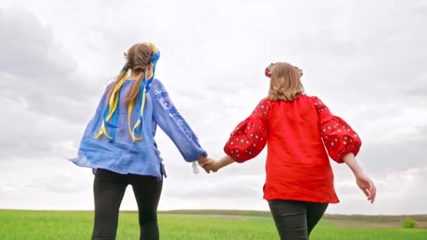 Щасливі українці біжать вперед, тримаючись за руки на зеленому полі. Портрет молодих друзів у блакитній та червоній вишивці Вишванки - національній блузці. Україна, дружба, патріотичний символ — стокове відео
