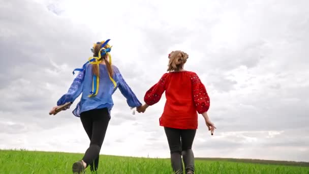 Happy women running, holding flute - ukrainian sopilka in hands. Green field. Portrait of young friends in embroidery vyshyvanka - national blouse. Ukraine, friendship, ethnic music concept. — стокове відео
