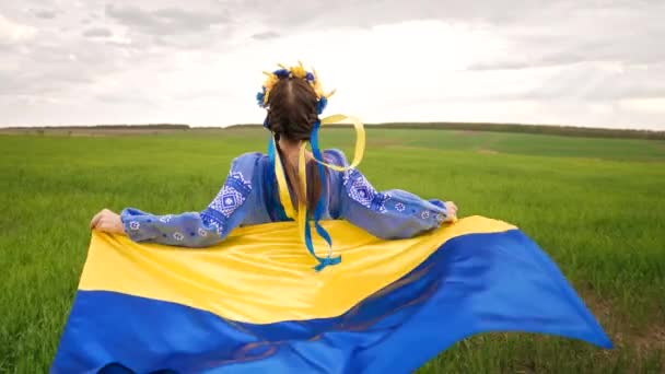 Happy ukrainian woman with national flag running in green field. Portrait of young lady in blue embroidery vyshyvanka. Ukraine, freedom, patriot symbol, victory in war. — Stockvideo