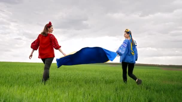 Happy ukrainian women with national flag walking in green field. Portrait of young friends in blue and red embroidery vyshyvanka- national blouse. Ukraine, friendship, patriot symbol, victory in war. — стокове відео