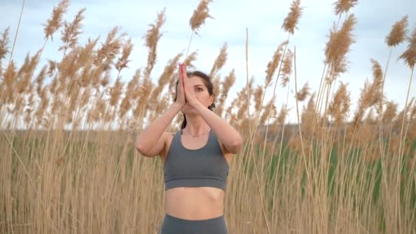 Young woman doing namaste, pranayama yoga breathing exercise on reed natural background. Healthy girl training at summer outdoors. Gratitude, unity with nature, wellness concept. — Video Stock