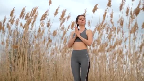 Mulher muito desportiva fazendo mudra namaste ioga no fundo natural junco. Harmonia saudável senhora formação na praia. Gratidão, amor, zen, conceito de bem-estar. — Vídeo de Stock