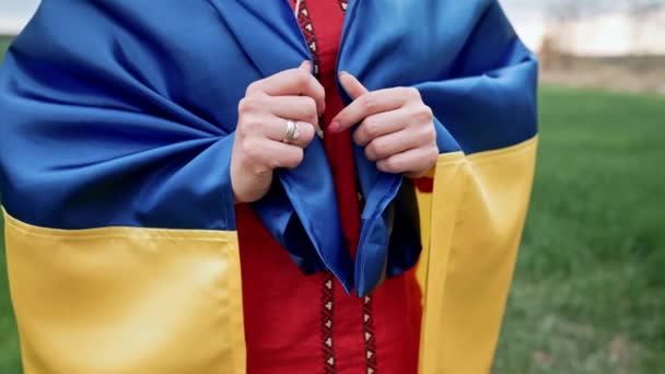 Ukrainian woman wrapped in national flag in green field. Lady in red vyshyvanka. Stand with Ukraine, freedom, patriot symbol, democracy victory in war. — Stock video