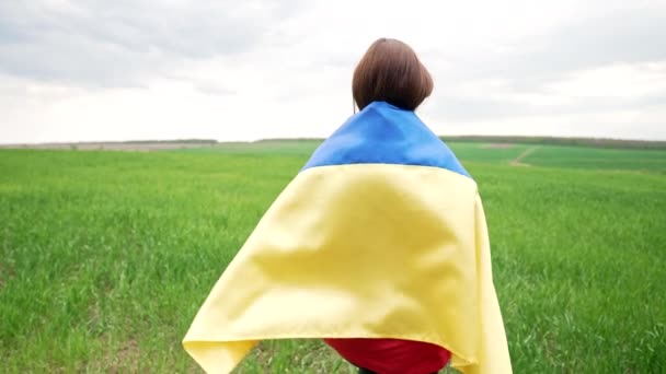 Unrecognizable ukrainian woman walking with national flag in green field. Lady in red vyshyvanka. Ukraine freedom, patriot symbol, victory in war. — Stok video