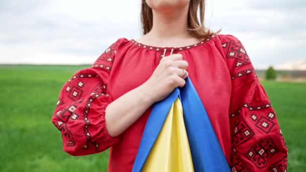 Ukrainian woman holding national flag over her heart during anthem. Green field background. Lady in red vyshyvanka. Ukraine freedom, patriot symbol, victory in war, democracy — Wideo stockowe
