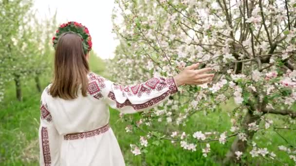Beautiful ukrainian woman walking in blossom apple garden. Lady in ethnic embroidery vyshyvanka dress and flowers wreath. Ukraine freedom, springtime, national clothes costume, victory in war. — Wideo stockowe