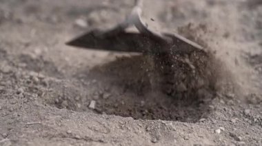 Farmer woman working in garden at home digging in beds for planting seeds. Gardener hoeing holes in soil with mattock, slow motion. Agriculture, organic farming, gardening concept. 