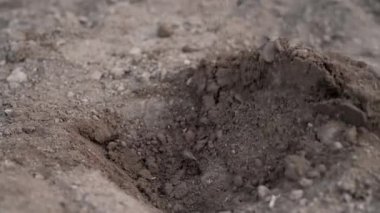 Bahçıvan, ağır çekimde toprağı çapalıyor. Çiftçi tarlada çalışıyor. Tohum ekmek için yatakları kazıyor. Tarım konsepti. Yeşilleştirme ortamı, ekoloji