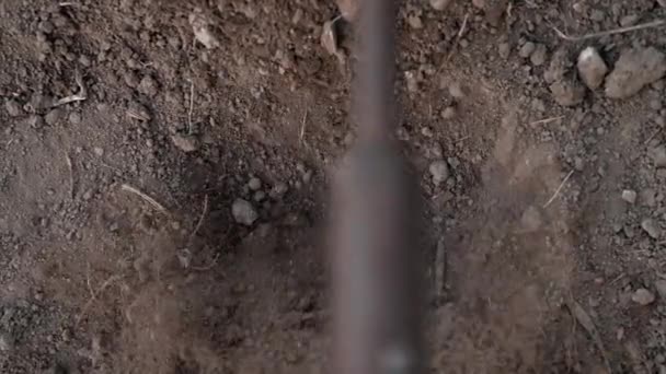 Gardener hoeing holes in soil with mattock, slow motion. Farmer man working in field digging in beds for planting seeds. Agriculture concept. Greening environment, ecology — ストック動画