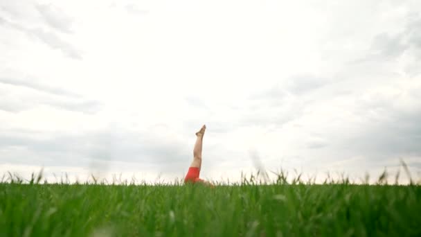Strong woman in orange wear doing yoga Sarvangasana - shoulder stand, inverted asana in green field. Girl building strong core, focused and motivated. — Stok video