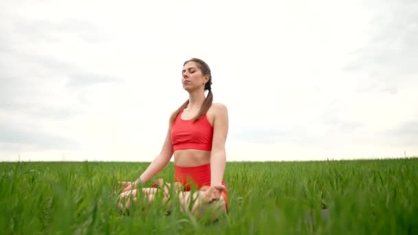 Concentrated woman in lotus pose doing meditation in green field. Calm yoga concept, religion, zen, peaceful mind, practice on nature background. — Vídeo de Stock