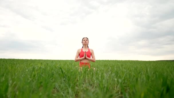 Concentrated woman in lotus pose doing meditation with namaste in green field. Calm yoga concept, religion, zen, peaceful mind, practice on nature background. — Vídeo de stock