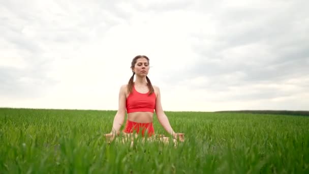 Concentrated woman in lotus pose doing meditation in green field. Calm yoga concept, religion, zen, peaceful mind, practice on nature background. — Vídeo de Stock