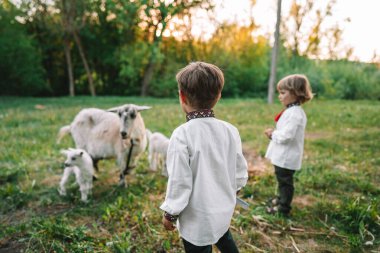 Tatlı çocuklar, çocuk kardeşler çiftlikte keçilerle, dışarıda otlayan hayvanlarla çocukluklarını geçiriyorlar. Tanıdıklar, ilk izlenimler, çocukların merakı.