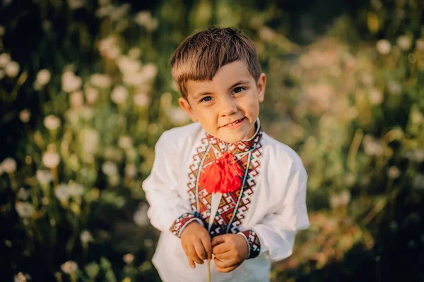 Piękny portret małego ukraińskiego chłopca w ogrodzie mniszek lekarskich. Dziecko w tradycyjnym hafcie vyshyvanka koszuli. Ukraina, strój narodowy, zwycięstwo w wojnie, szczęśliwe dzieciństwo i koncepcja przyszłości — Zdjęcie stockowe